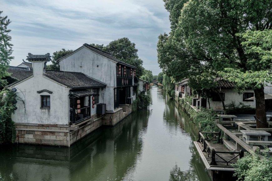 迷你淘气猪逃脱
